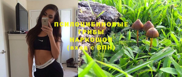 гидропоника Алексеевка