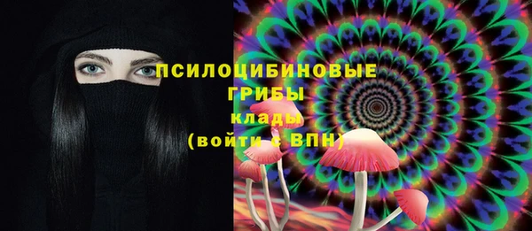 2c-b Алзамай