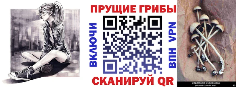Псилоцибиновые грибы ЛСД купить сайты Саров